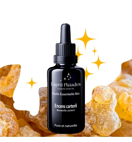 Aromes pour la méditation