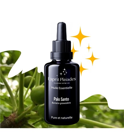 Aromes pour la méditation