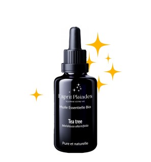 Tea tree