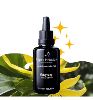Ylang ylang Totem Complet