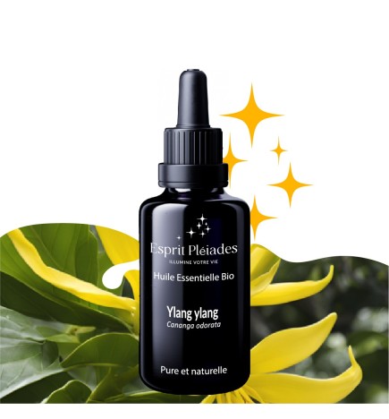 Ylang ylang Totem Complet