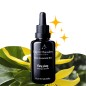 Ylang ylang Totem Complet Ylang ylang Totem Complet
