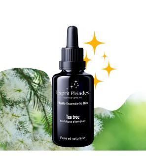 Tea tree