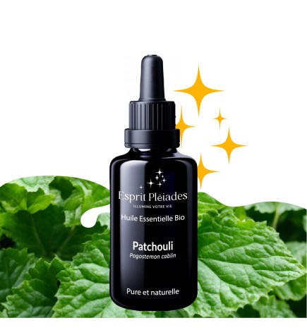 Patchouli