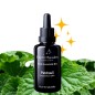 Patchouli Patchouli