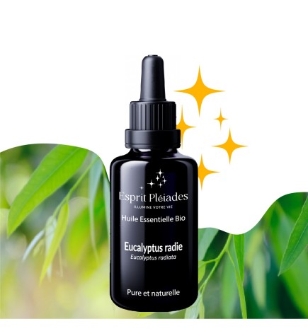 Eucalyptus radie