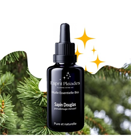 Sapin Douglas