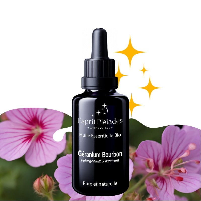 Géranium Bourbon Géranium Bourbon