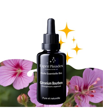 Géranium Bourbon