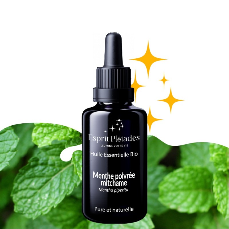 Menthe poivrée mitchame Menthe poivrée mitchame