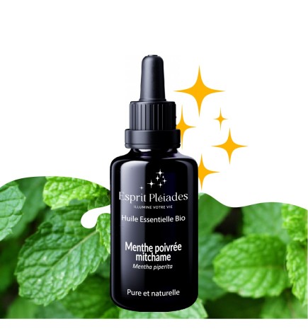 Menthe poivrée mitchame