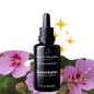 Aromes de la performance Aromes de la performance